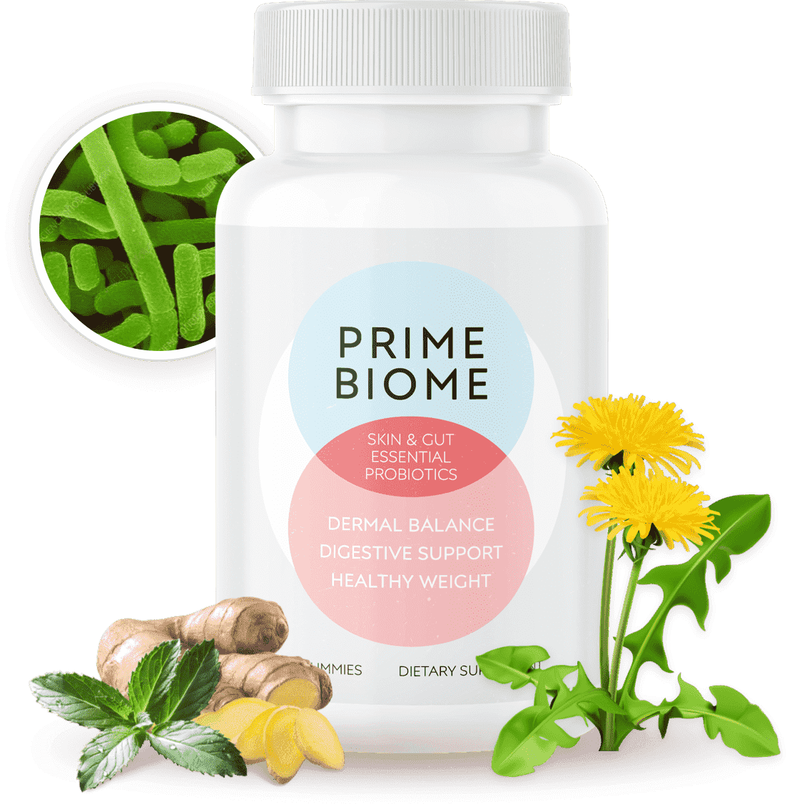 PrimeBiome PrimeBiome